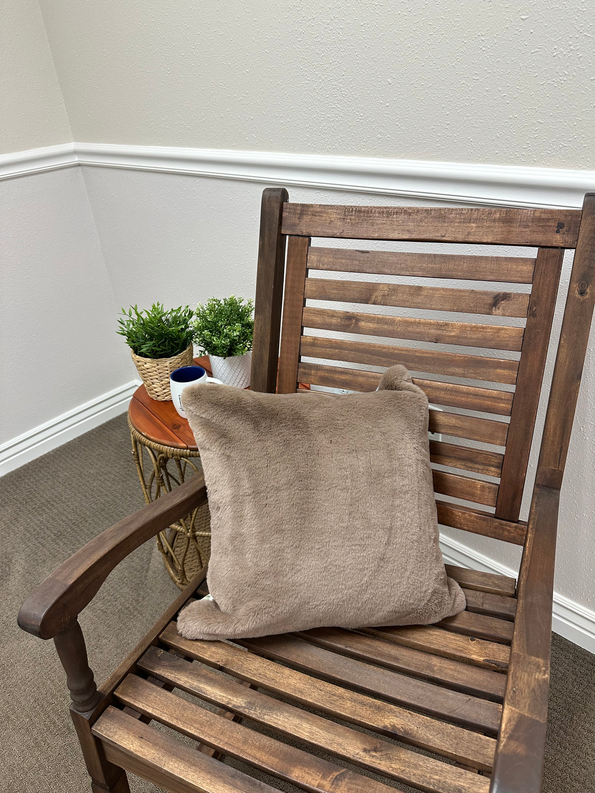 Desert Cuddle Throw Pillow