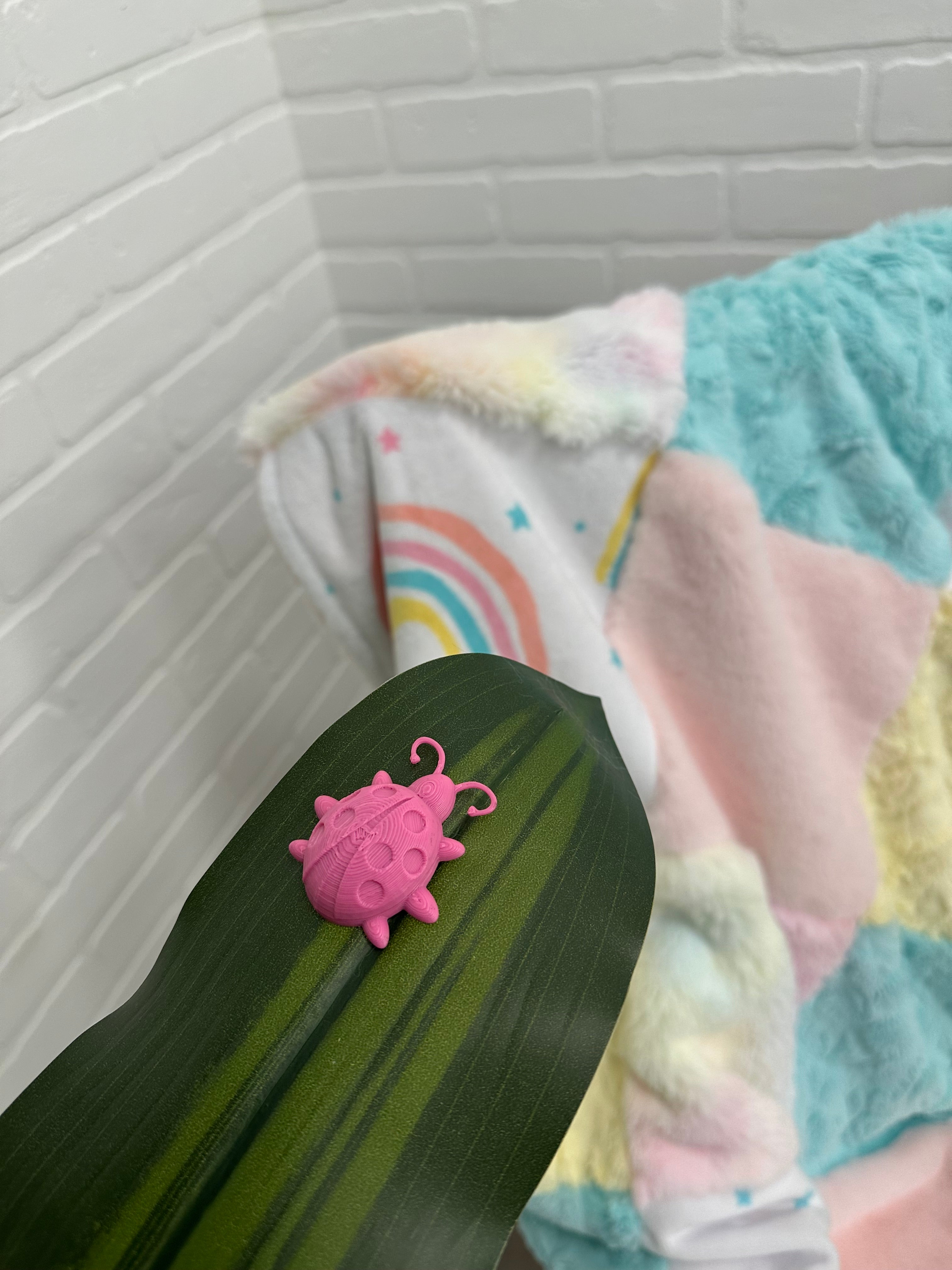 Rainbow Infant With Ice Pink Encore on the Back