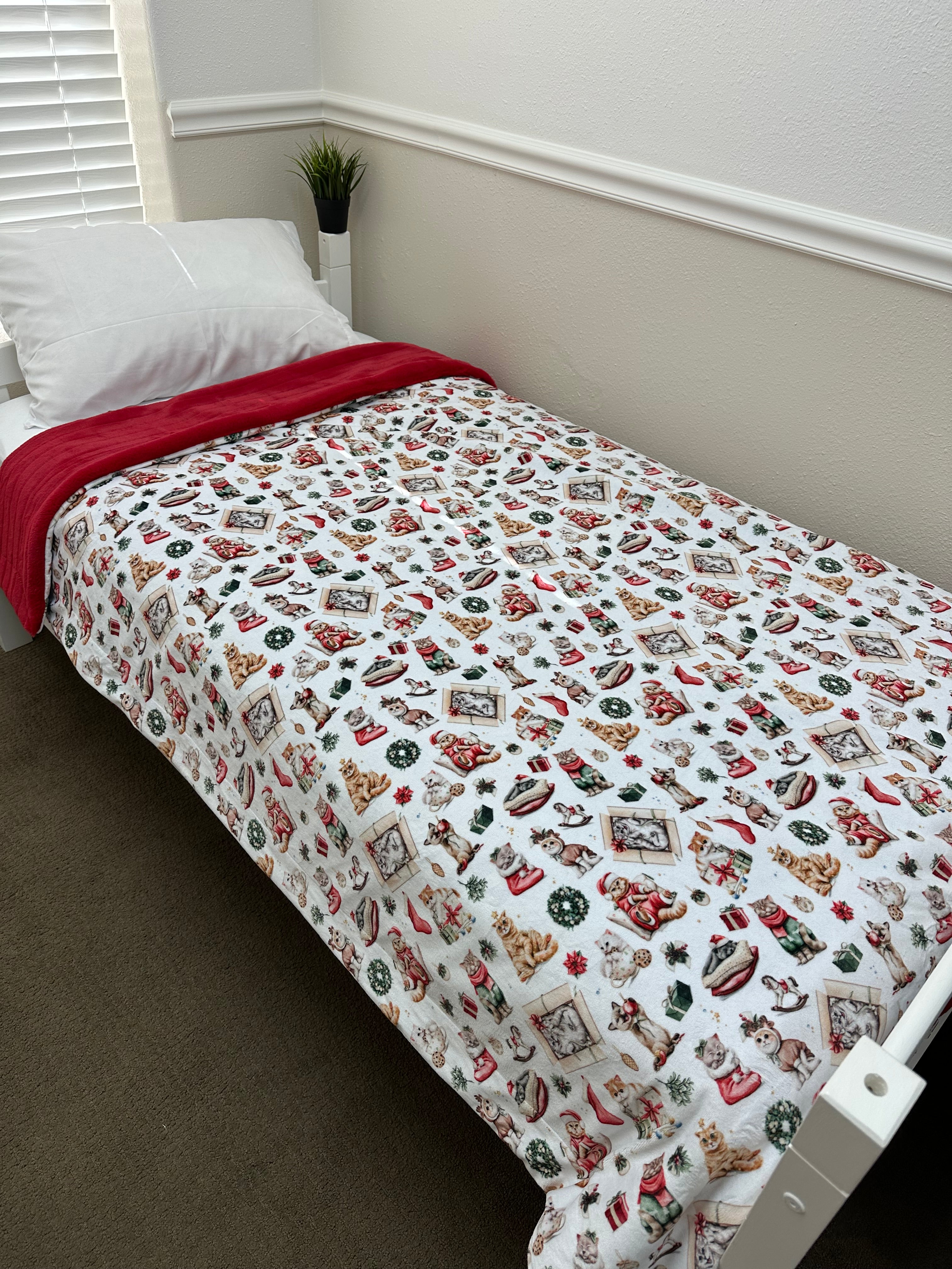 Simple Minky Mamas (60